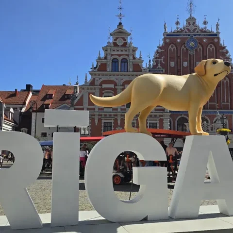 Letters RIGA met een geel hondenbeeld voor het Zwarthoofdenhuis